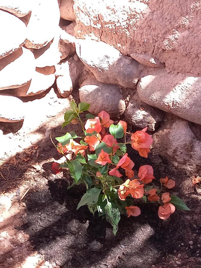 Casa Buenavista Hotel San Pedro de Atacama Luaran gambar